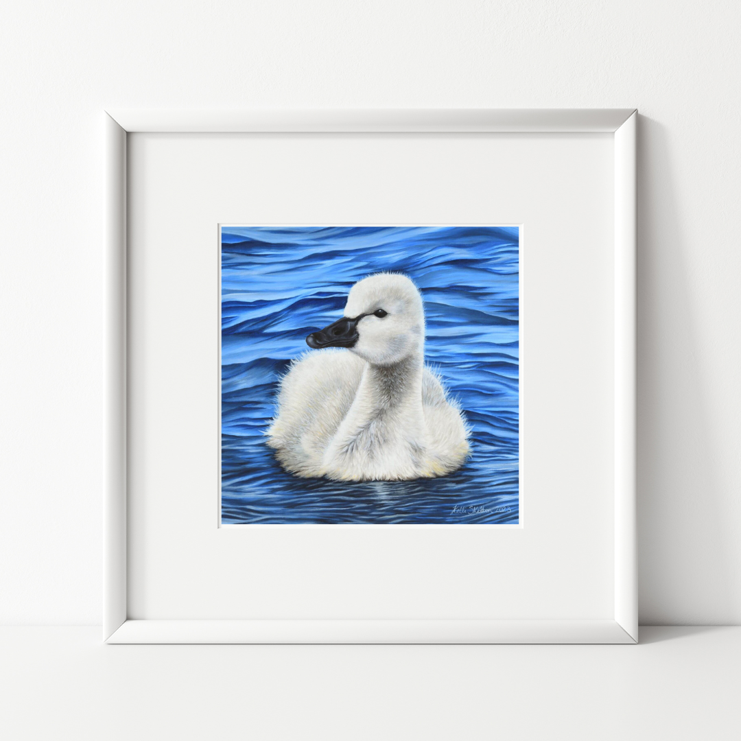 Sweet Cygnet Art Print