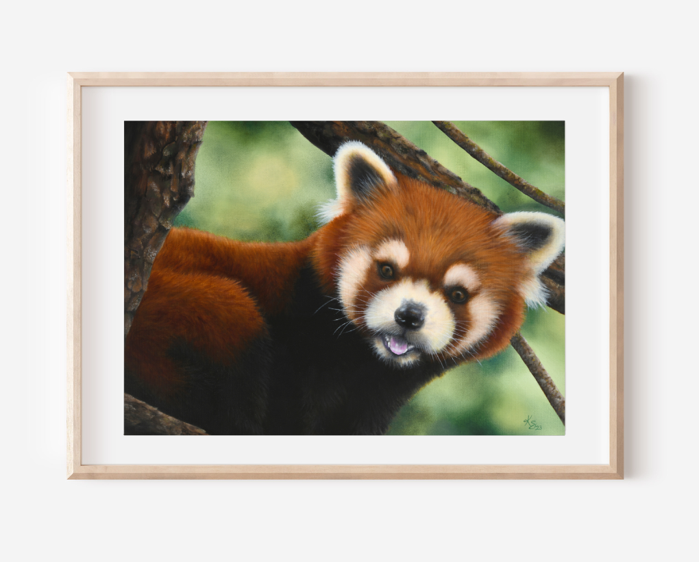 Curious Playmate Art Print