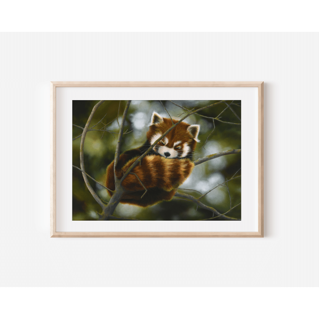 Tranquil Slumber Art Print